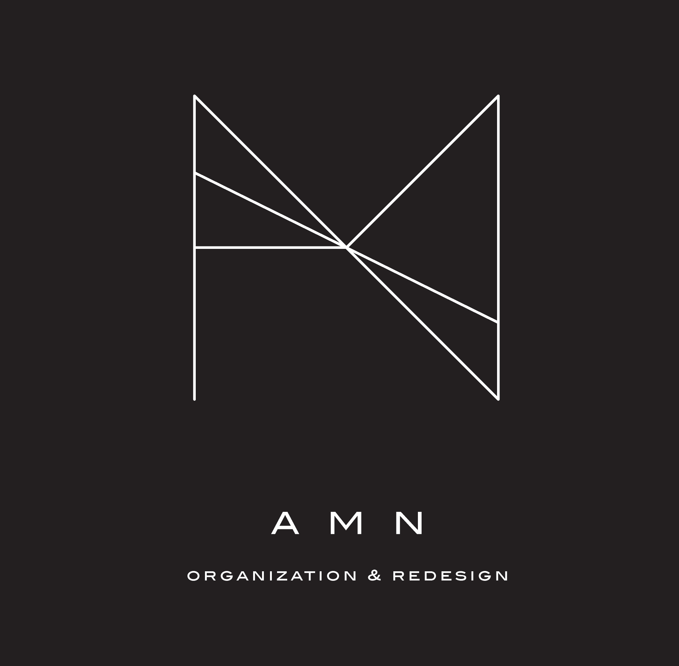 Avatar for AMN Organization