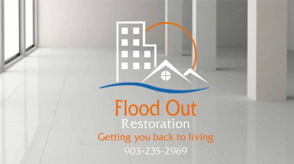 Avatar for FLOOD OUT