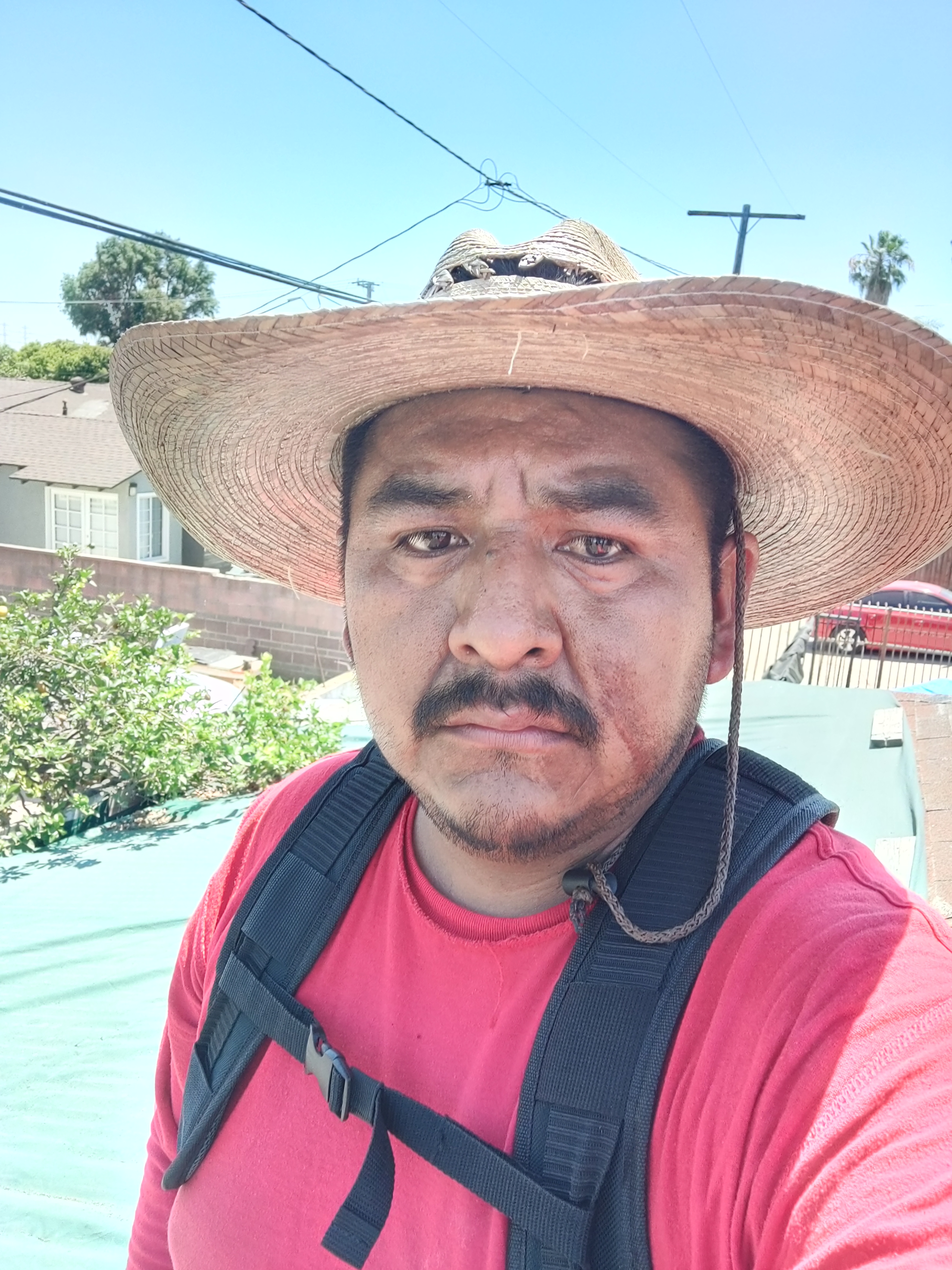 Avatar for Francisco