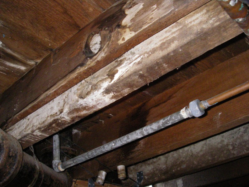 Water Damage