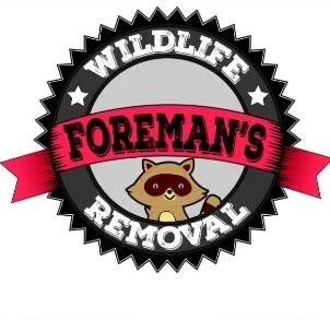 Avatar for Foreman's Wildlife Removal