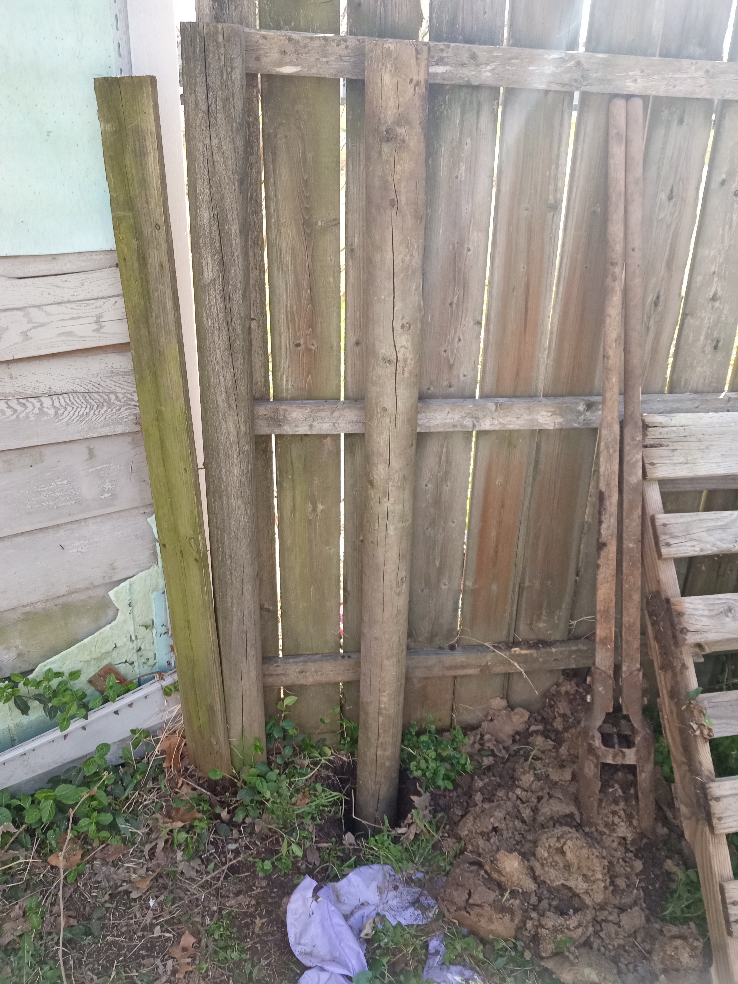 Avatar for Mitchell fencing and more