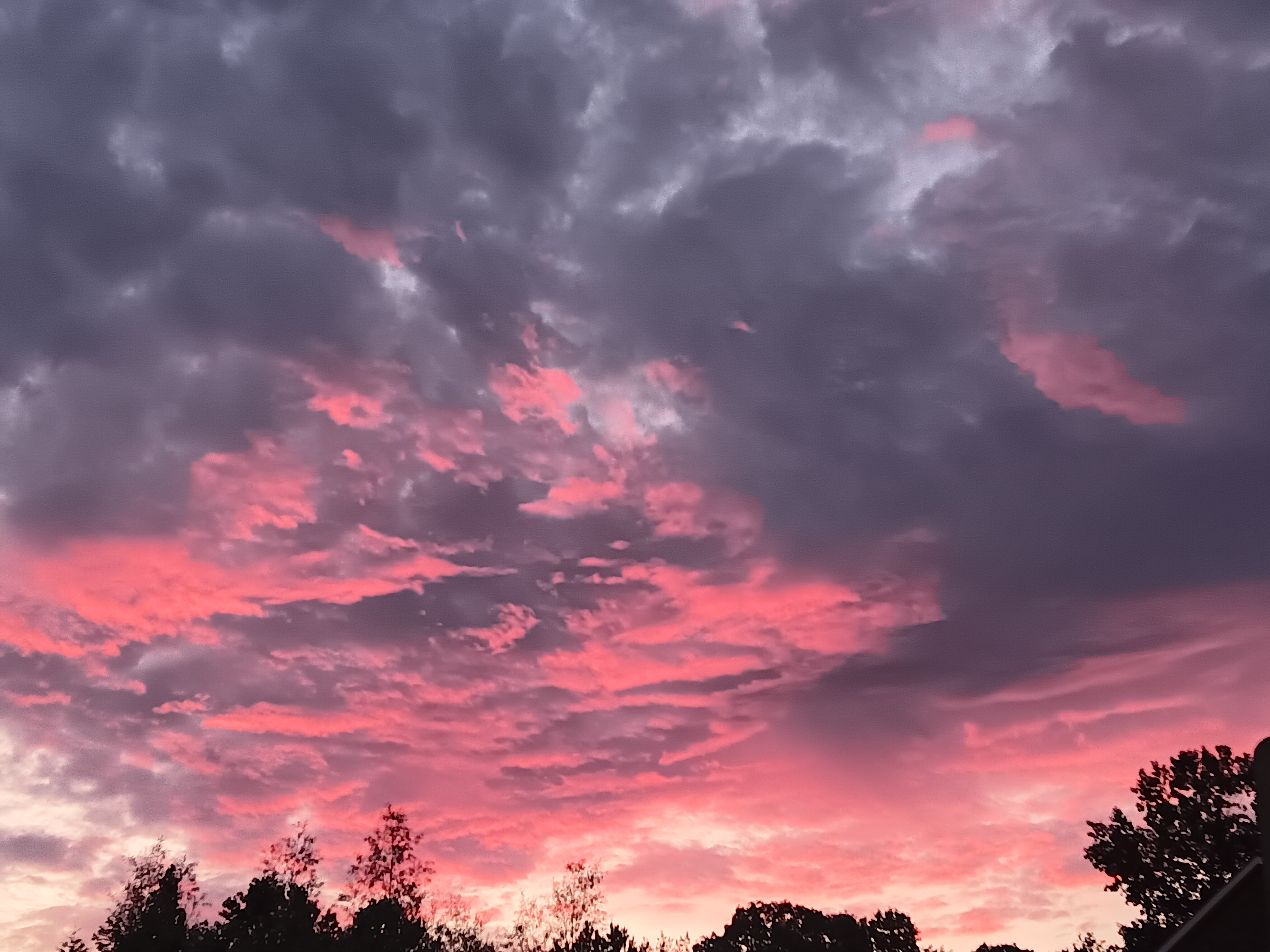 Avatar for Crimmons window cleaning