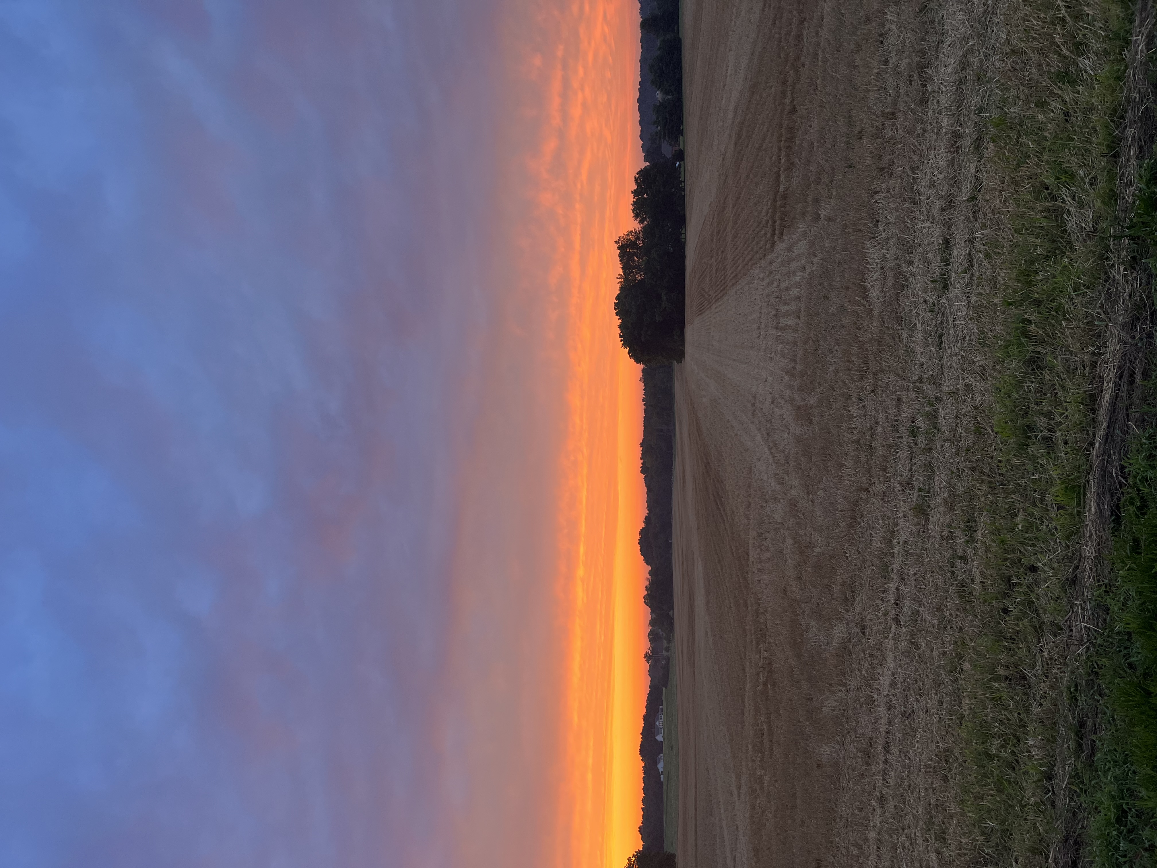 Avatar for Cjb landscaping