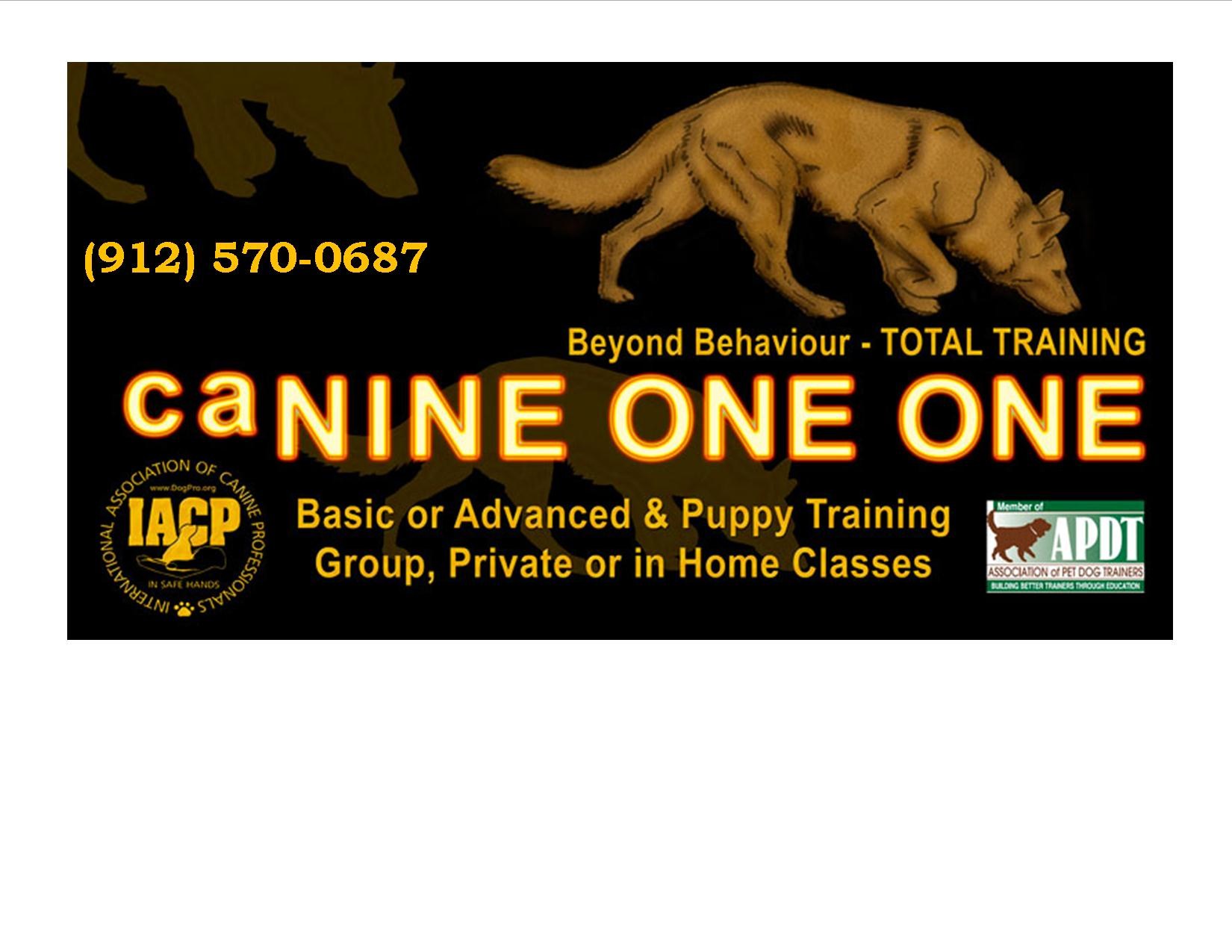 Logo for Canine One One