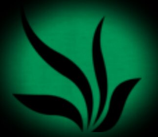Lawncore logo