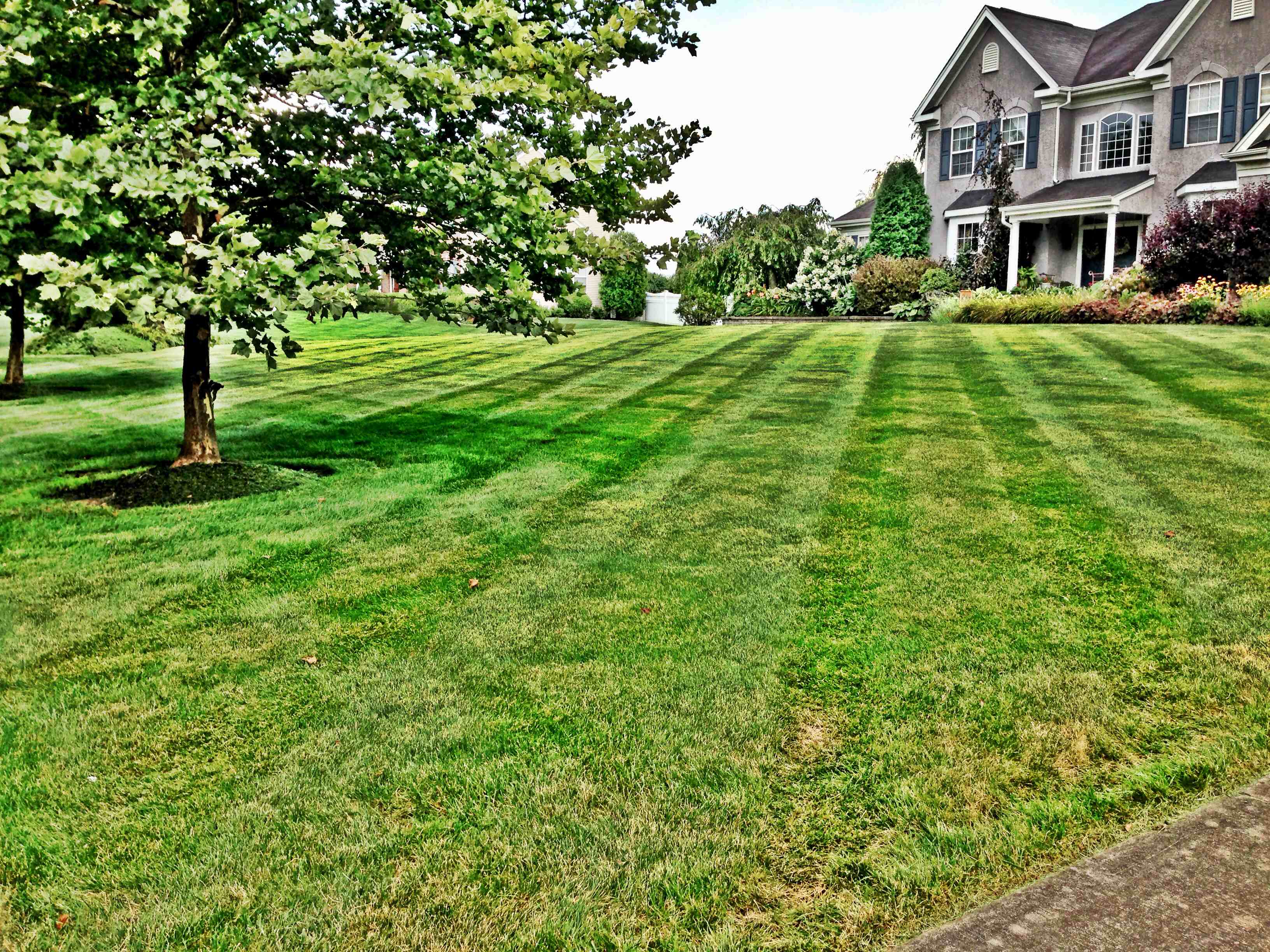 Avatar for O'Brien's Landscaping & Hardscaping