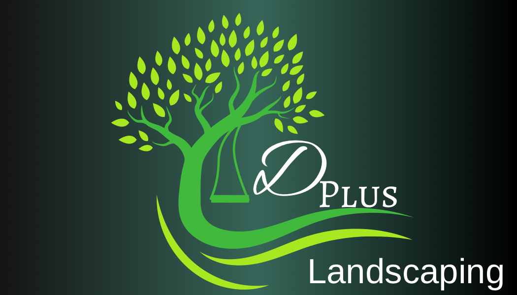 Avatar for Dplus landscaping 