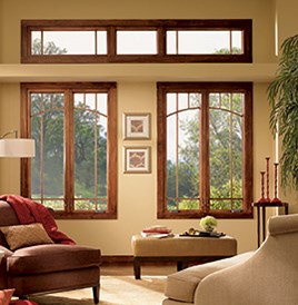 Avatar for WeDu Windows Cleaning