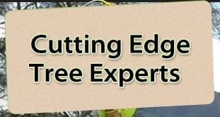Avatar for Cutting Edge Tree Experts