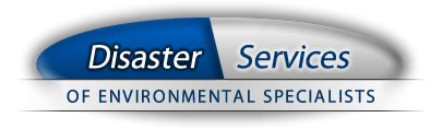 Avatar for Disaster Services