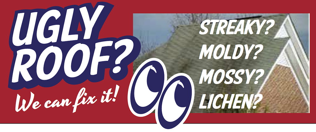 AAA ROOF CLEANING logo