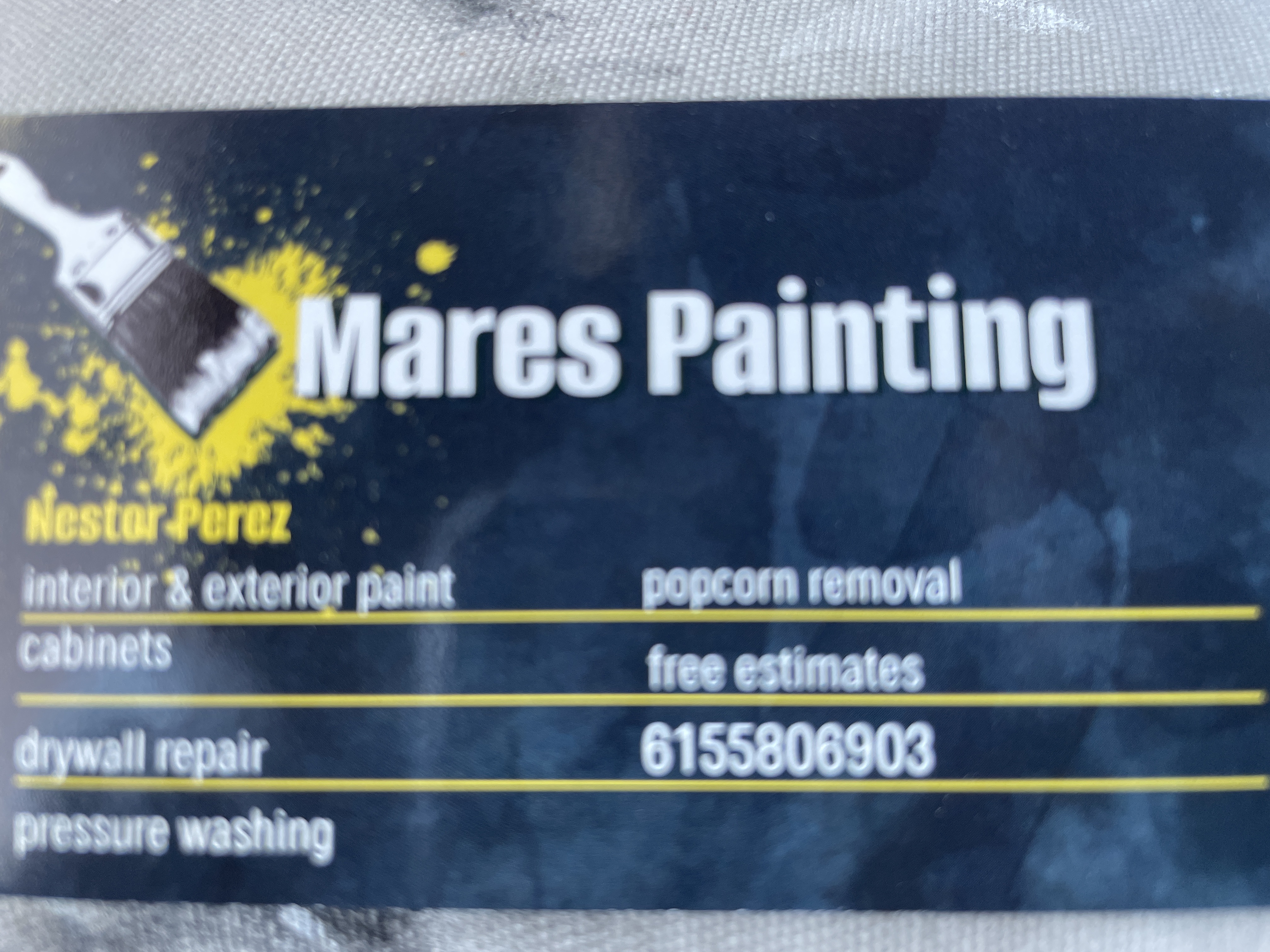 Avatar for Mares painting 