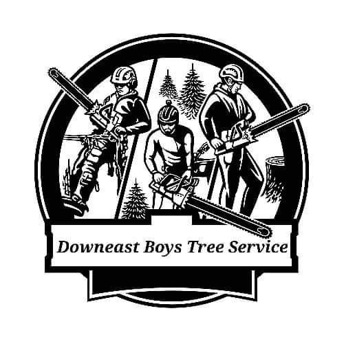 Avatar for Downeast Boys Tree Service
