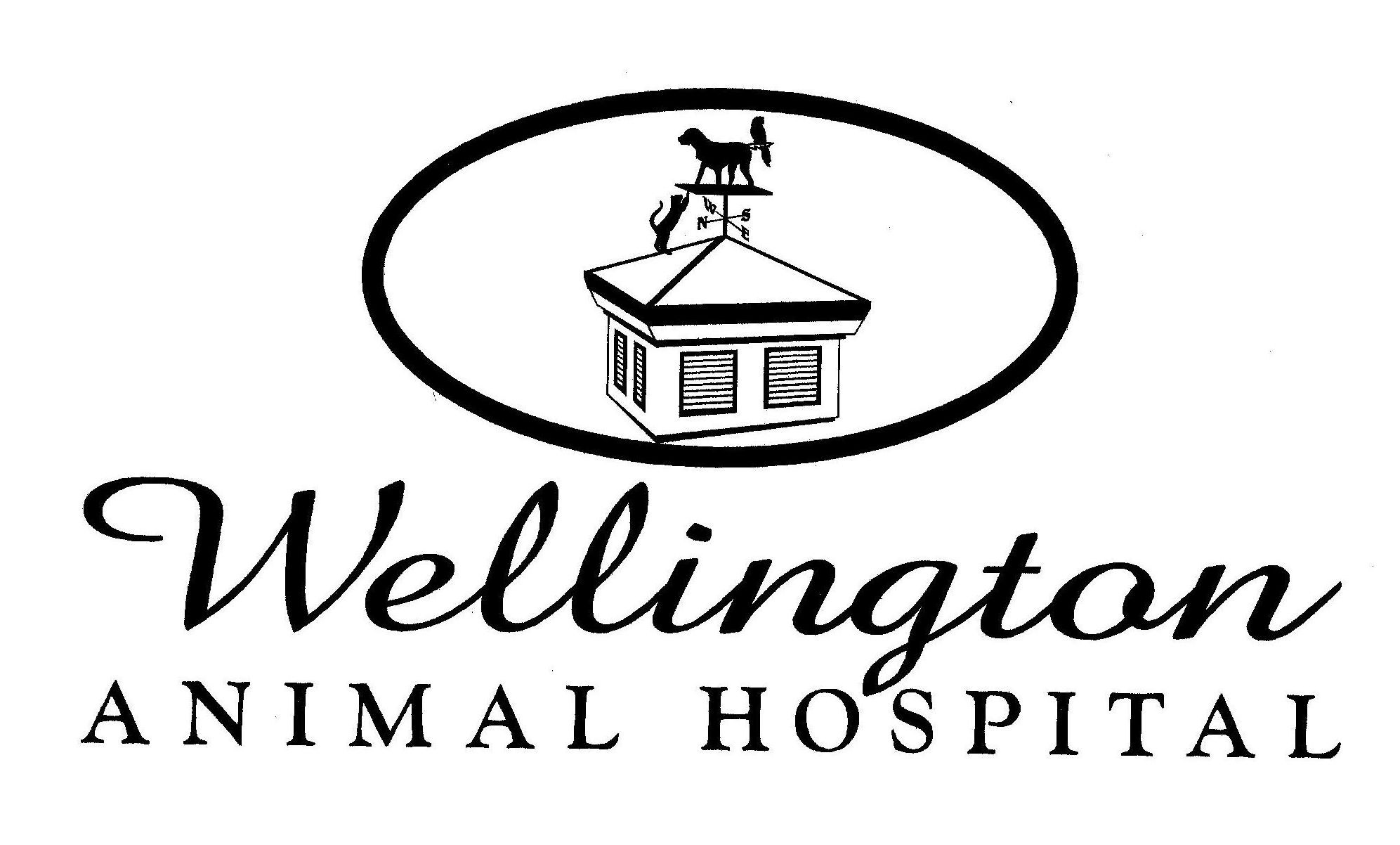 Logo for WELLINGTON ANIMAL HOSPITAL, INC