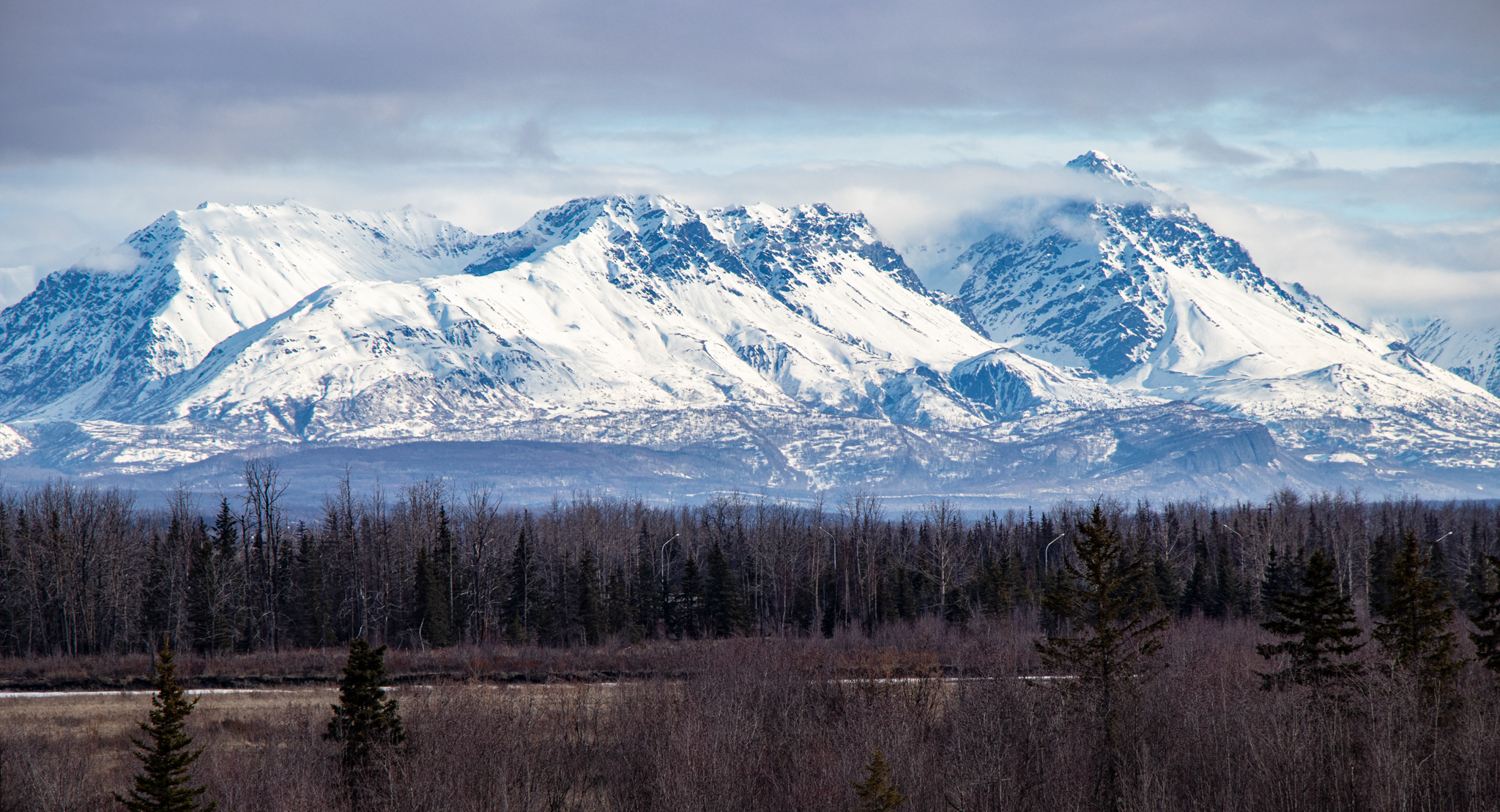 Avatar for Alpenglow Painting Services, LLC