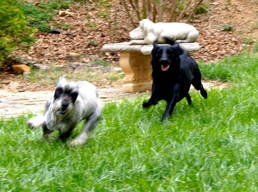 Play in our park