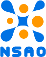 Network Solutions And Optimization, LLC logo