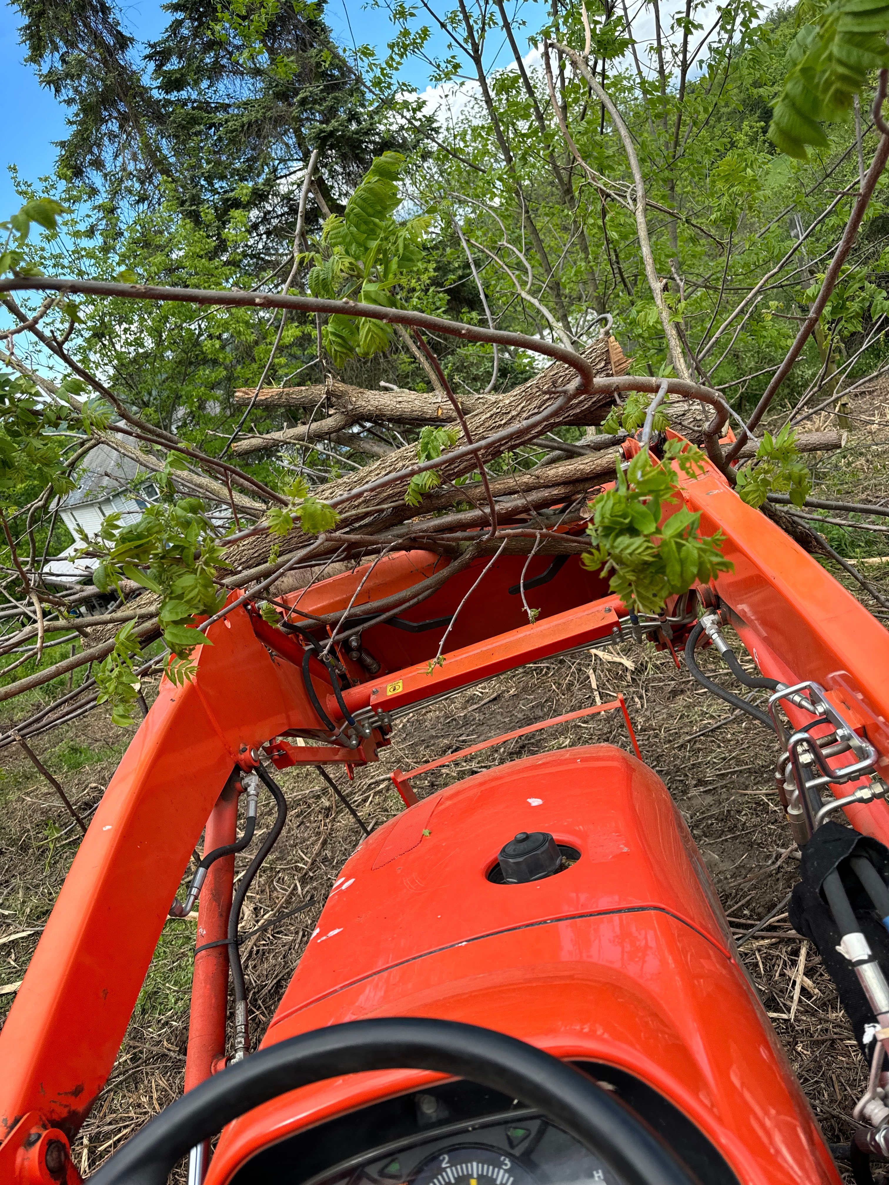 Avatar for Cain Ellsworth