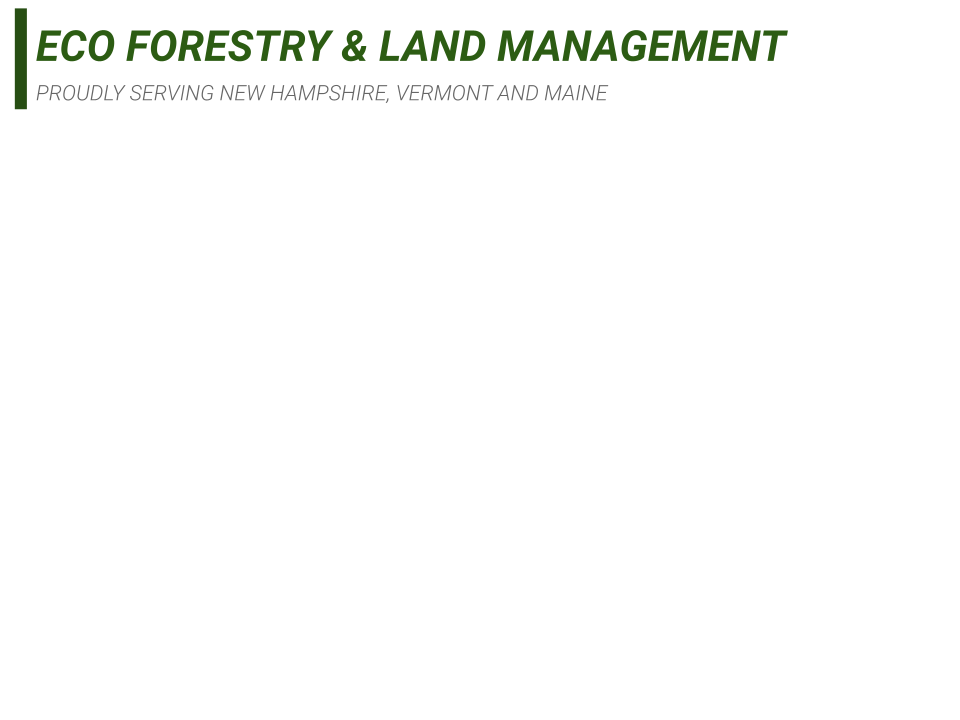 Avatar for Eco Forestry and land management