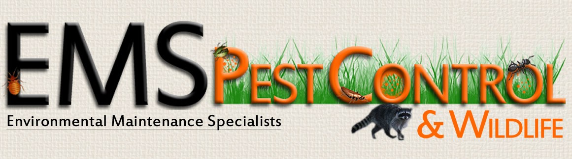Avatar for EMS Pest Control