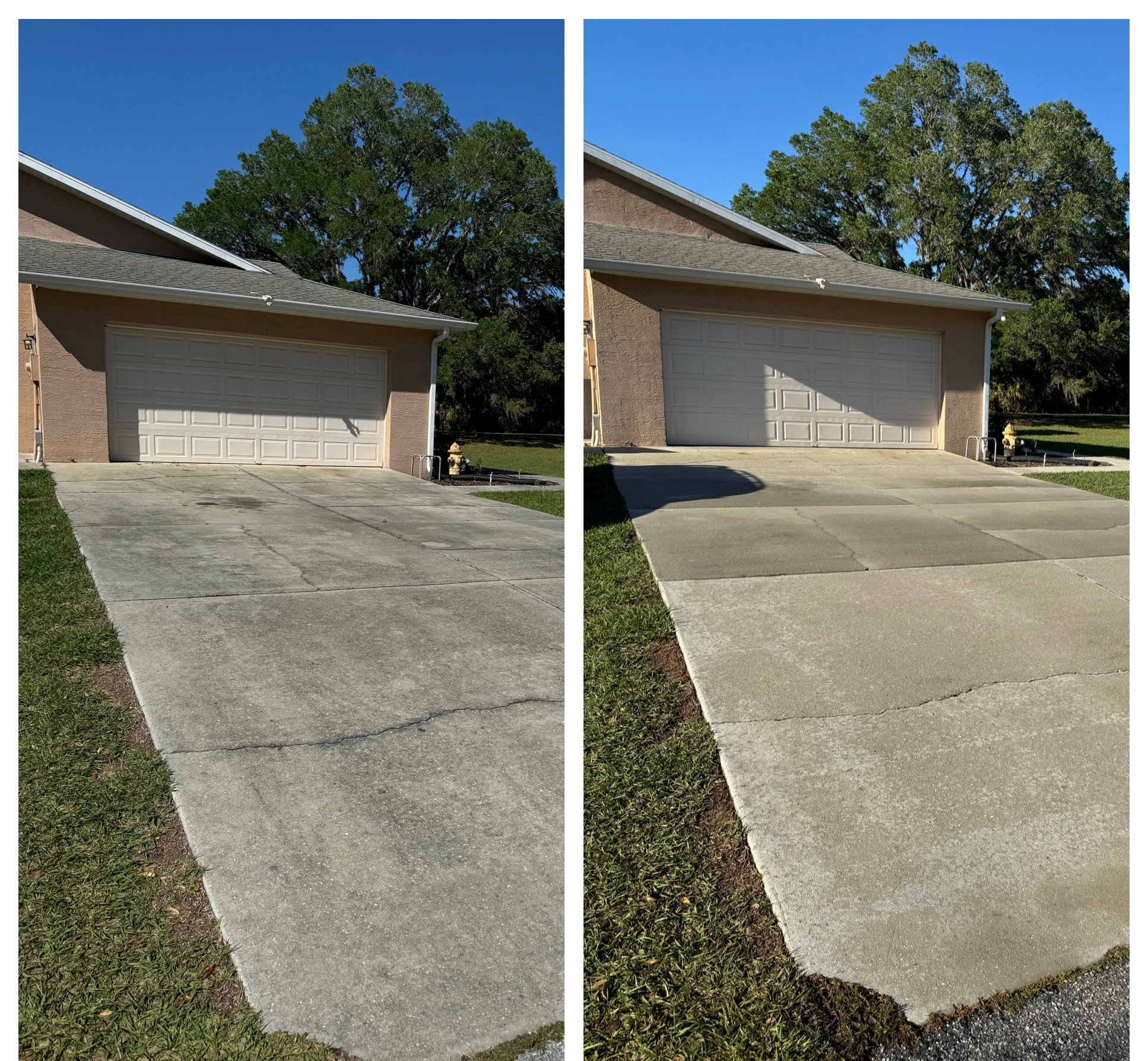 Avatar for Michels Elite detailing & Pressure Cleaning 