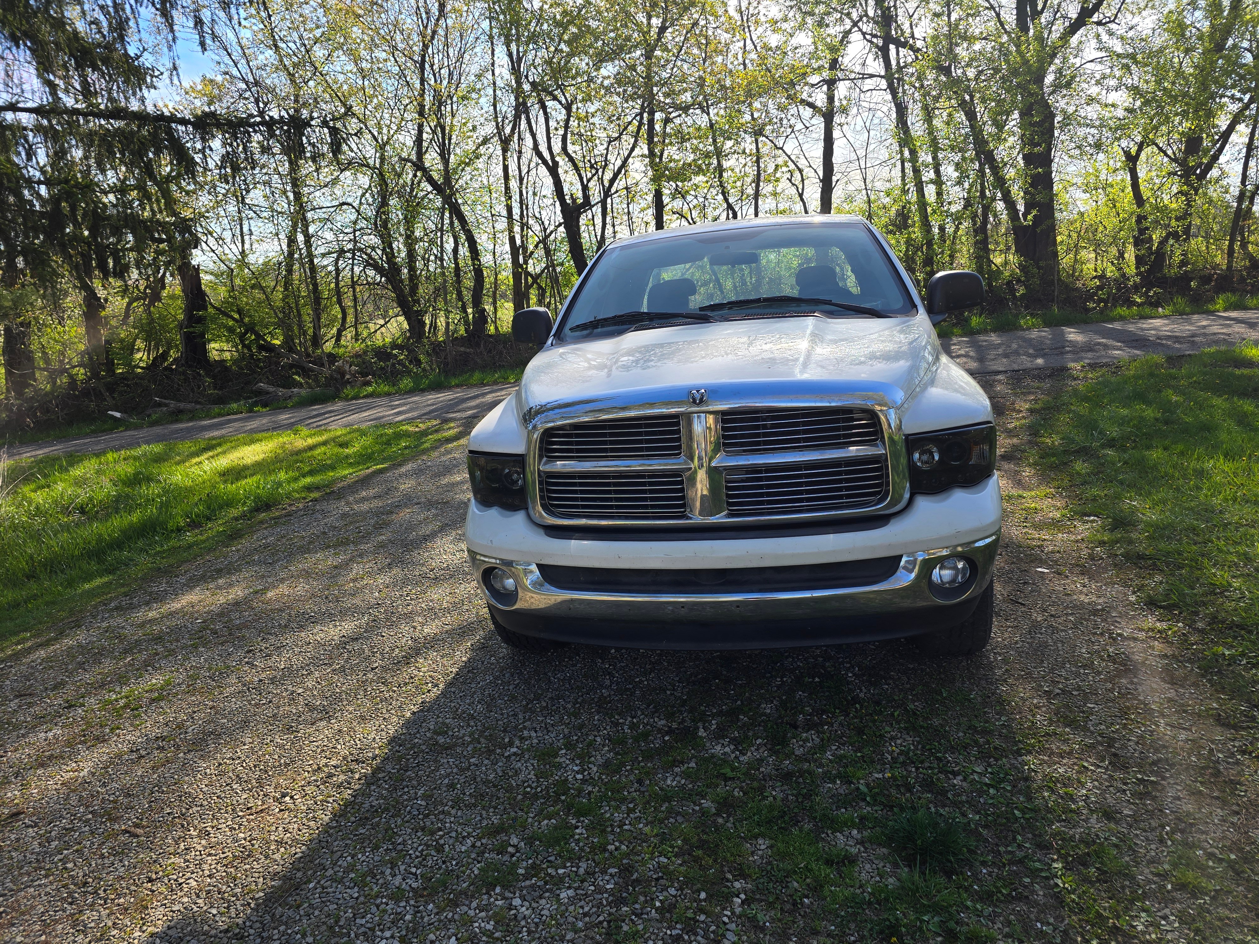 Avatar for Whites junk removal