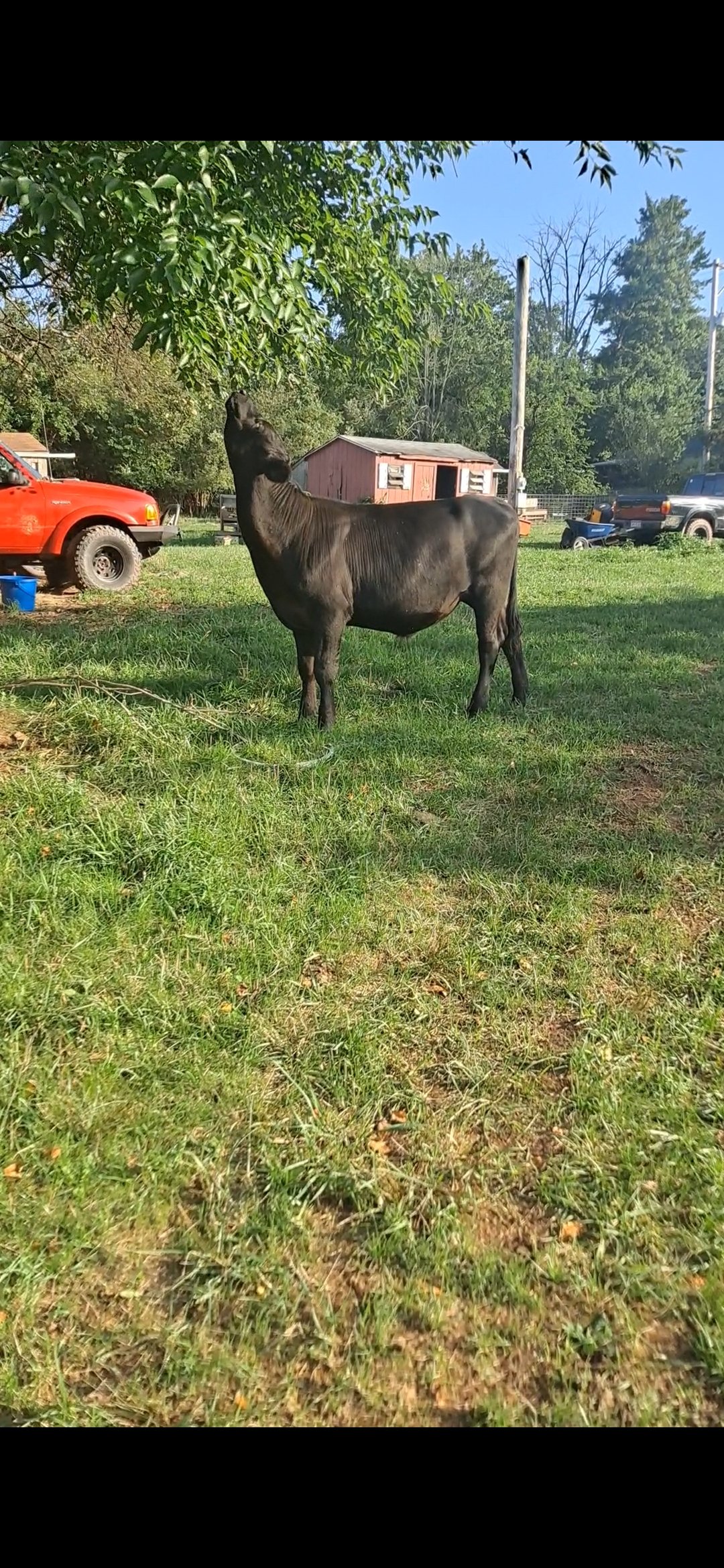 Avatar for Bar-20 Ranch and Farm Services