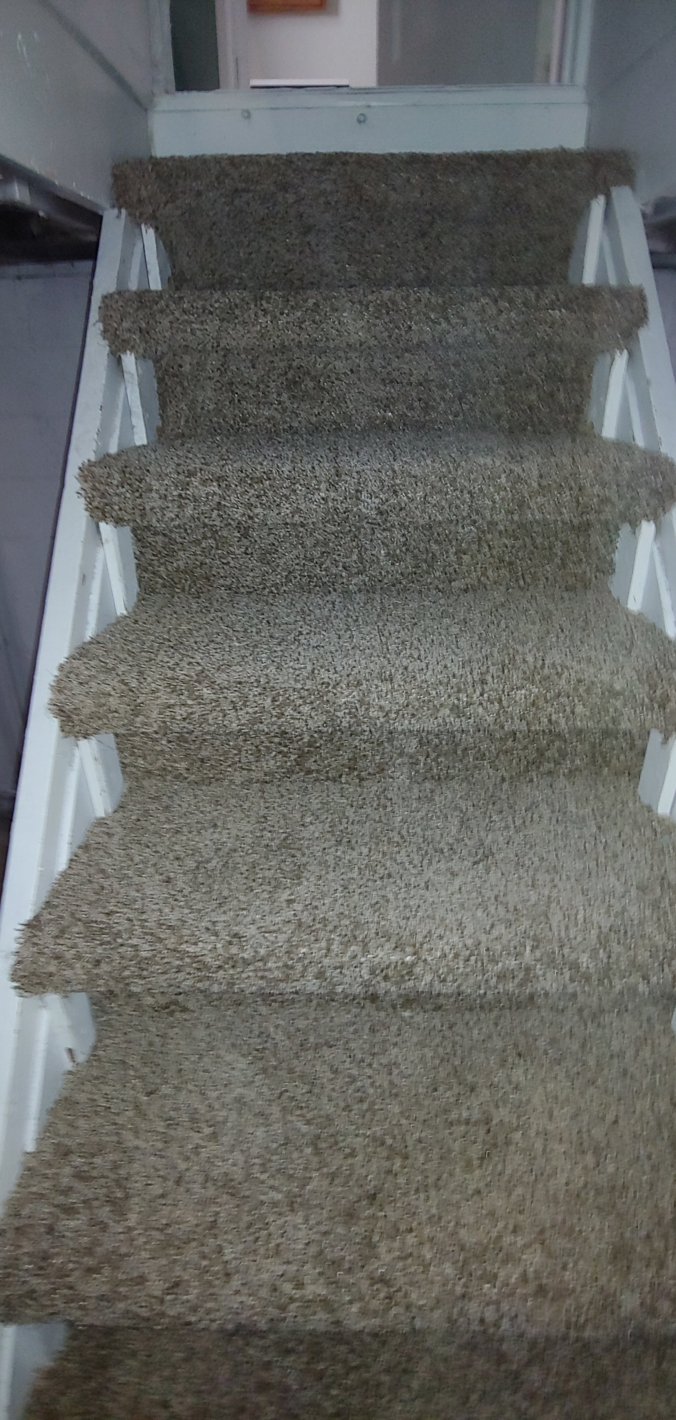 Avatar for Brandenburg solutions