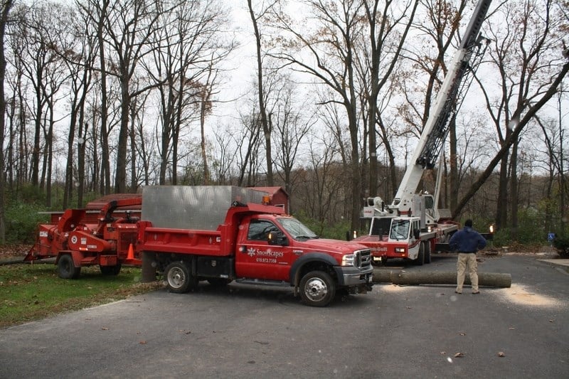 Crane and Chipper