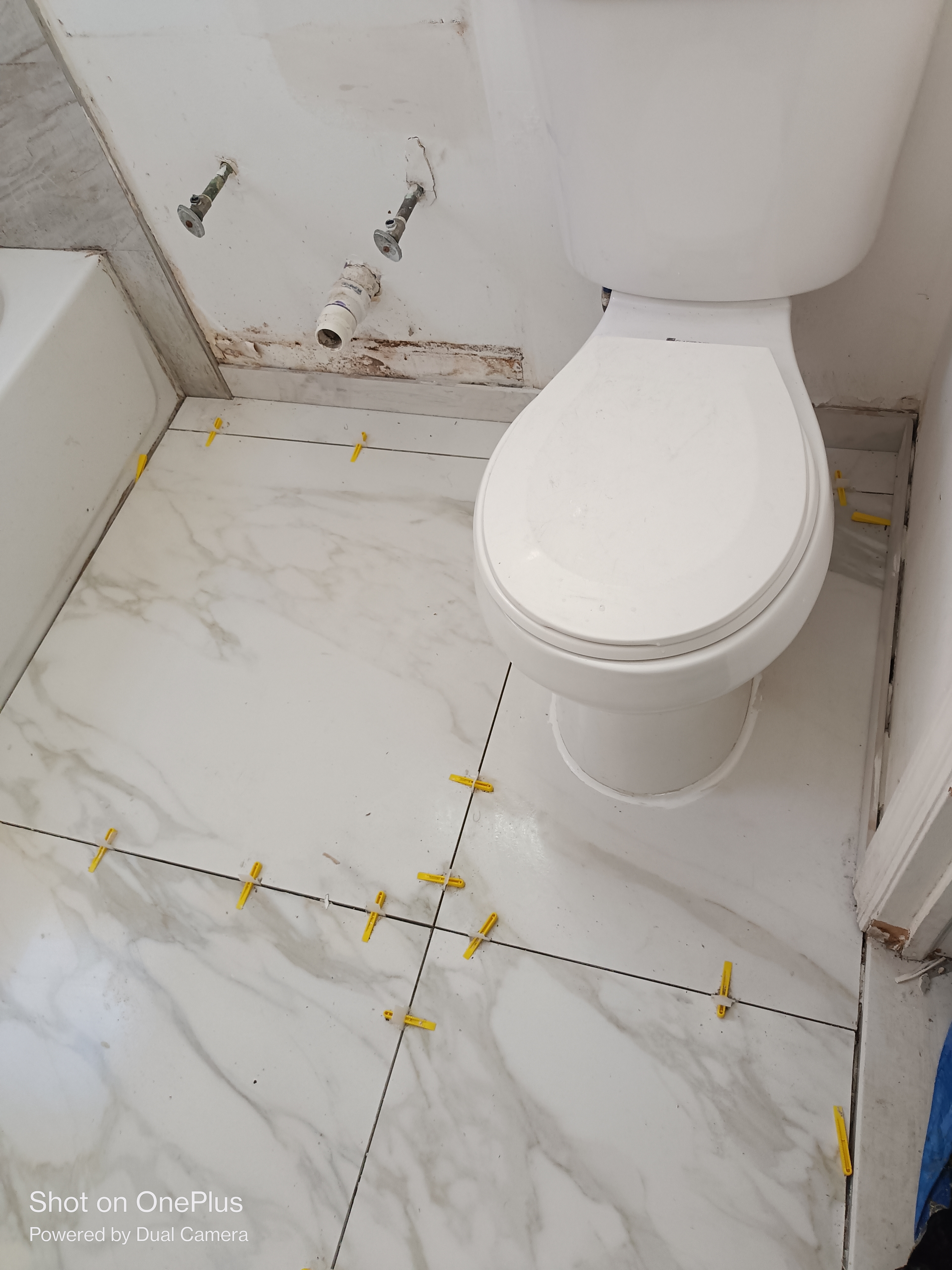 Avatar for Wilson contrucción 