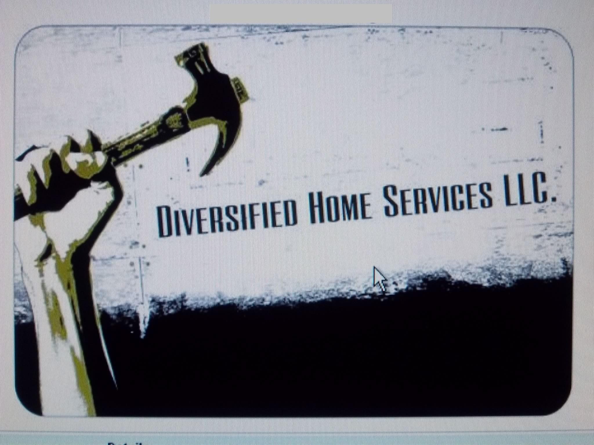 Avatar for Diversified Home Services LLC.