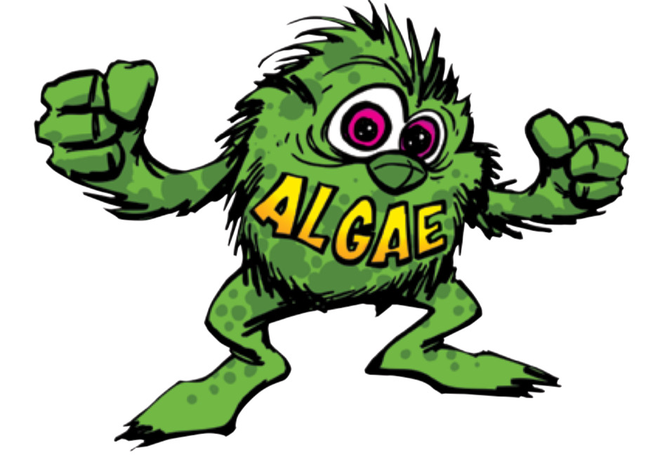 Avatar for TBD pressure washing & non pressure roof cleaning