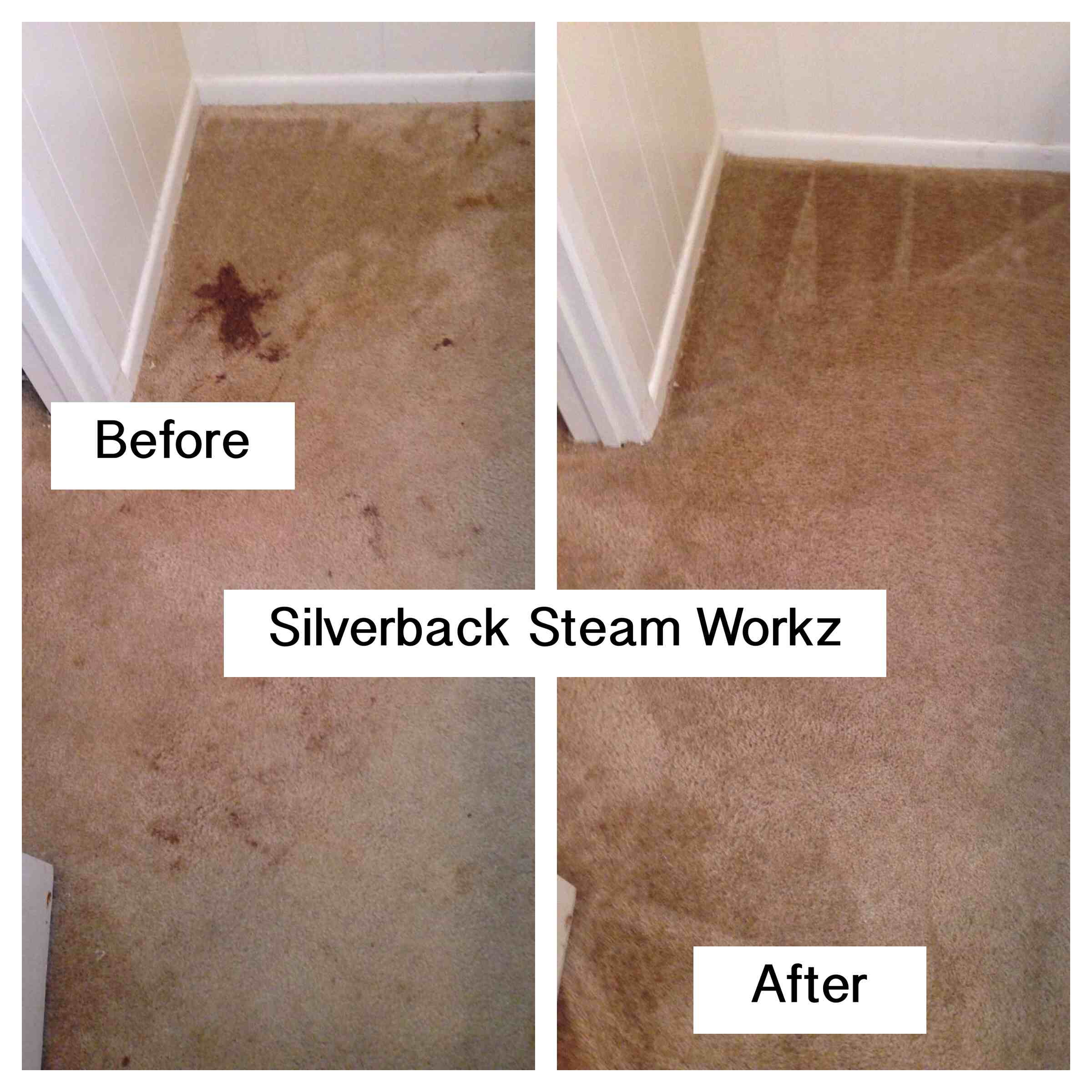 Silverback Steam Workz logo