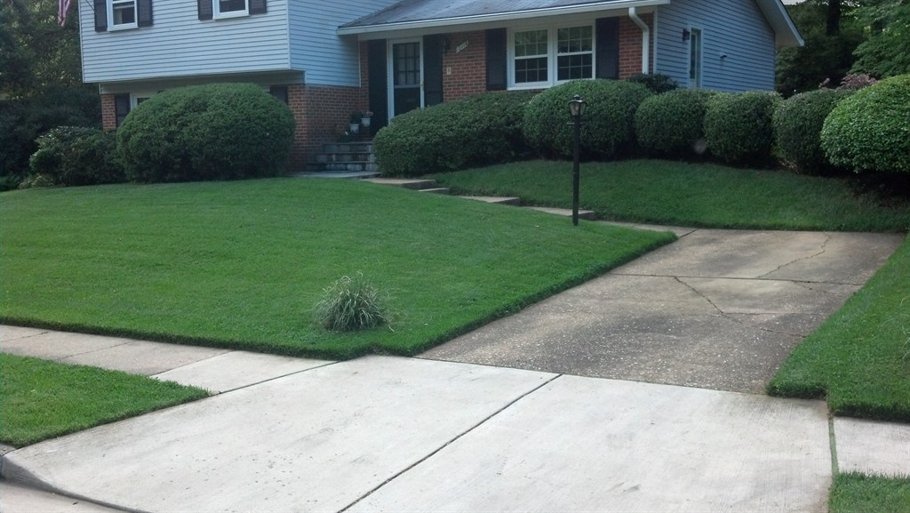 Lawn Maintenance