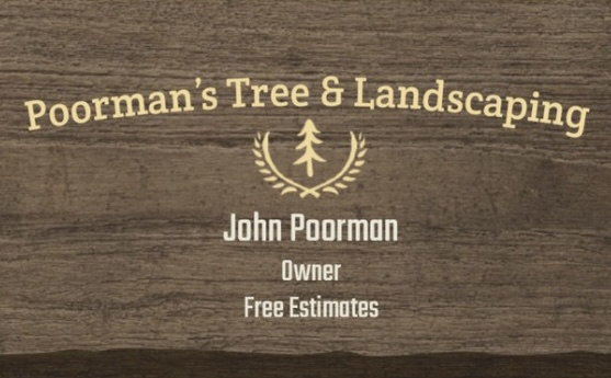 Avatar for John Mitchells Tree Service LLC