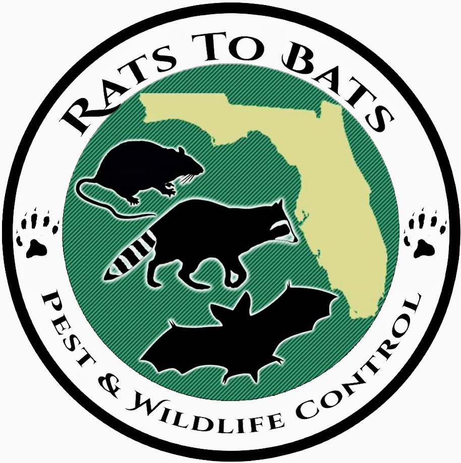 Avatar for Rats to Bats, LLC