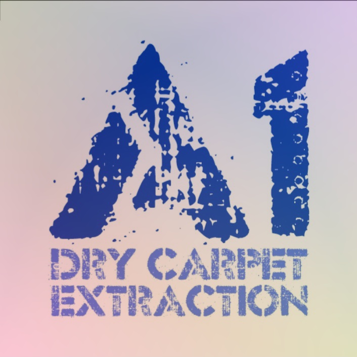 Avatar for A1 DRY CARPET EXTRACTION 