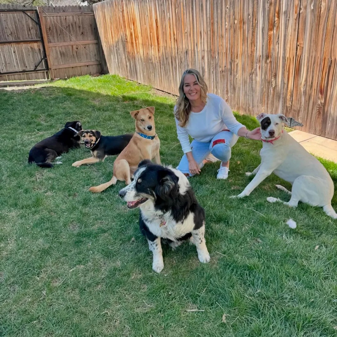 Avatar for Andrea Straub, PA, Charles Rutenberg Realty