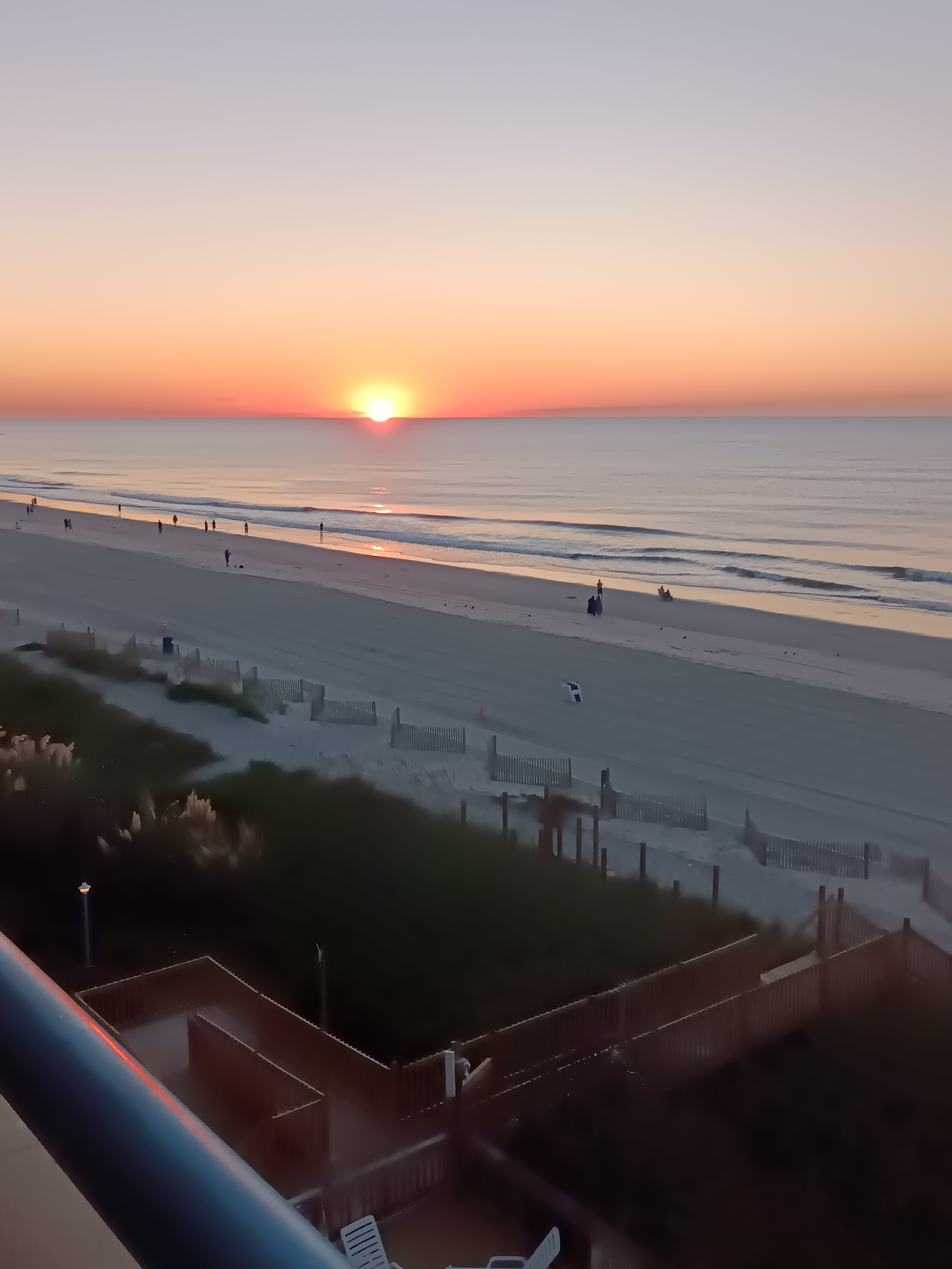 Avatar for Lavera Mishler 