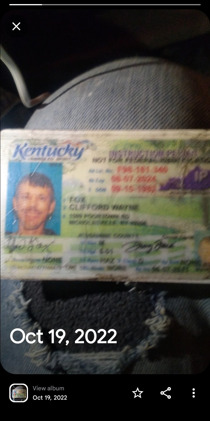 Avatar for Foxes painting 