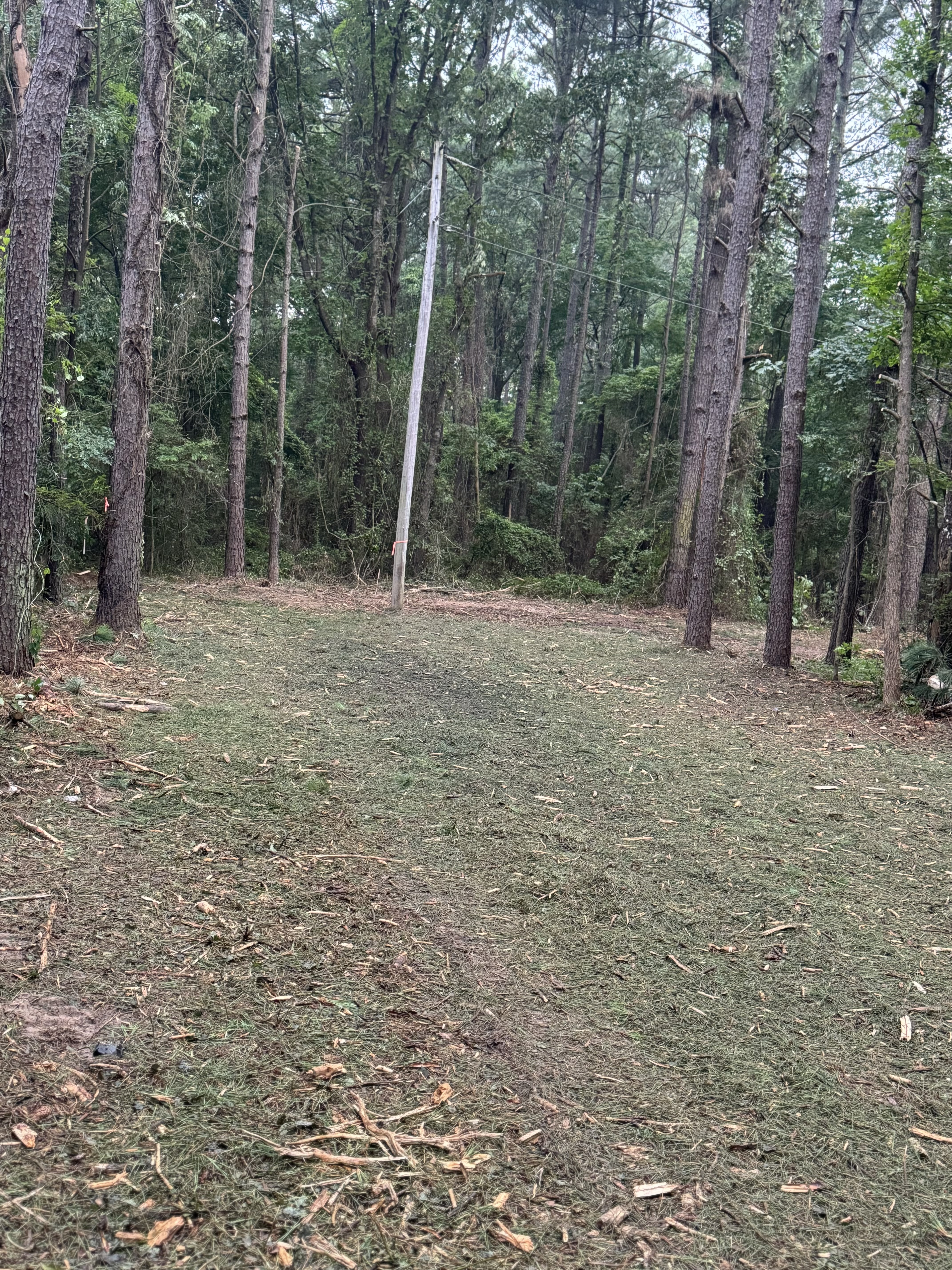 Avatar for RBC Lawn care