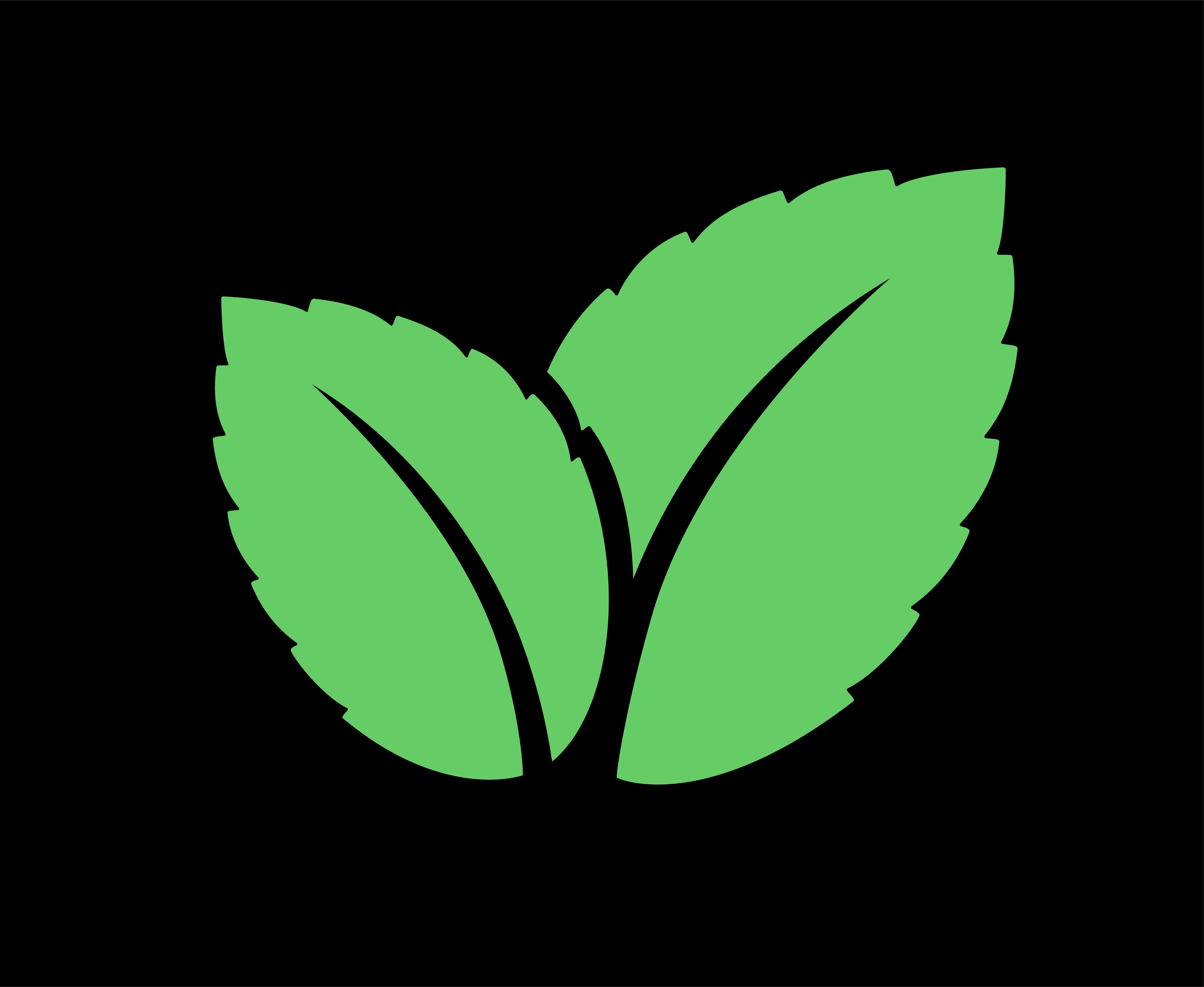 Avatar for Mint Moving