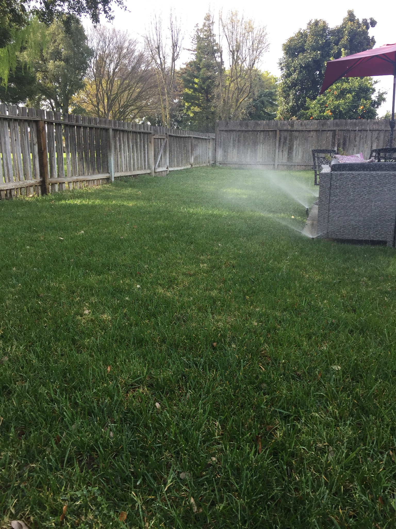 Avatar for Central Valley lawn and garden sprinkler repair