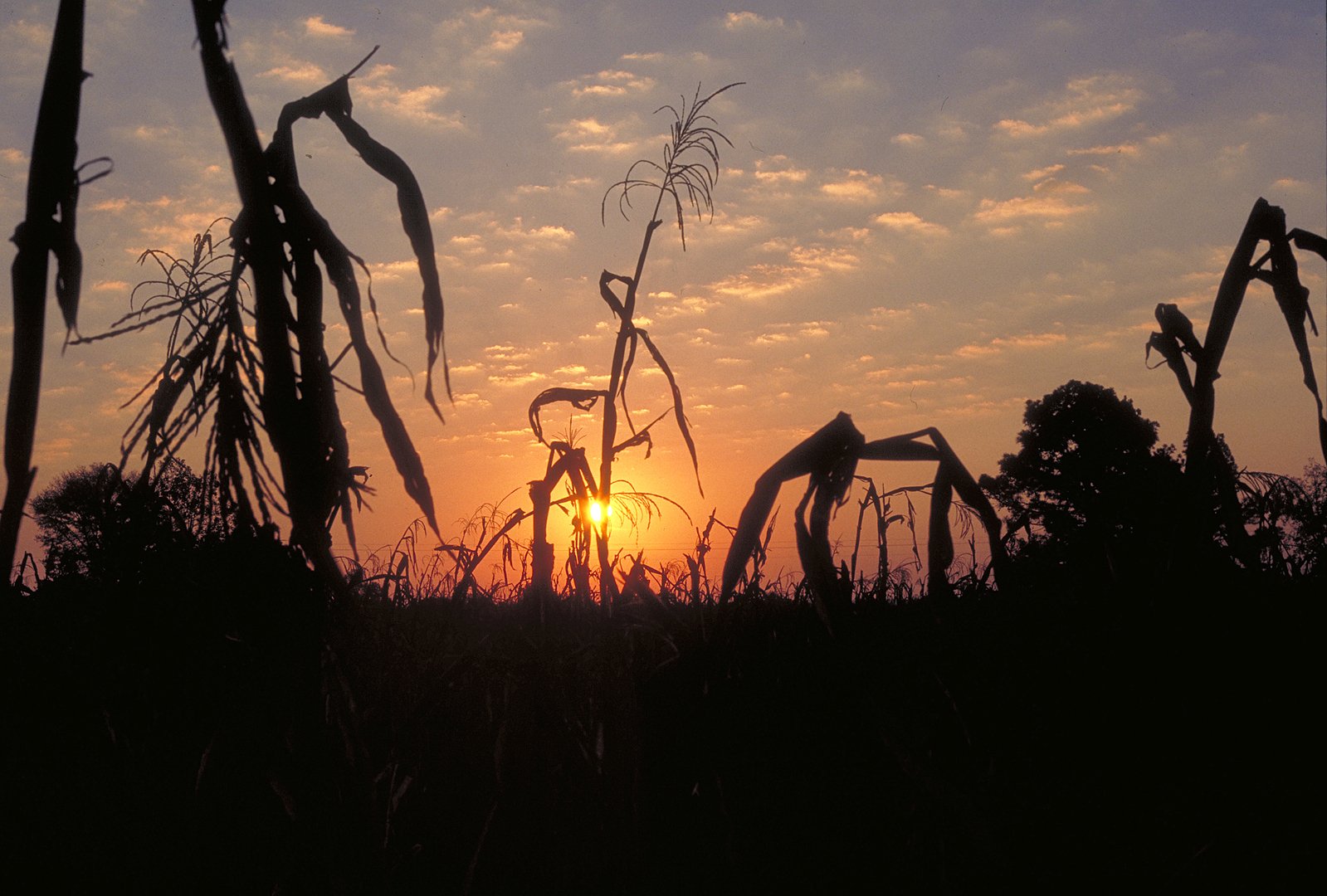 Avatar for Drywall Doctor LLC