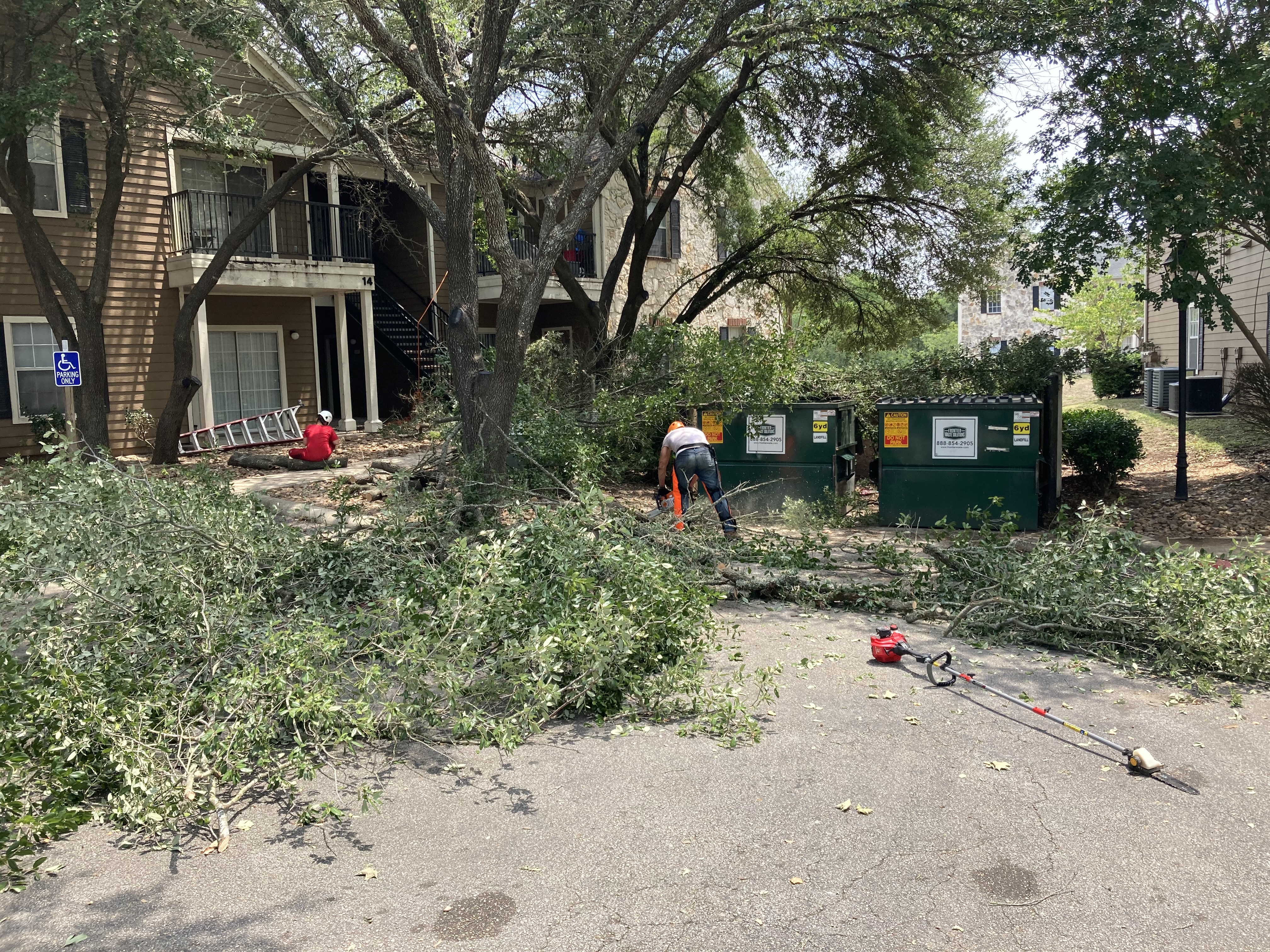 Avatar for Super Mario landscape