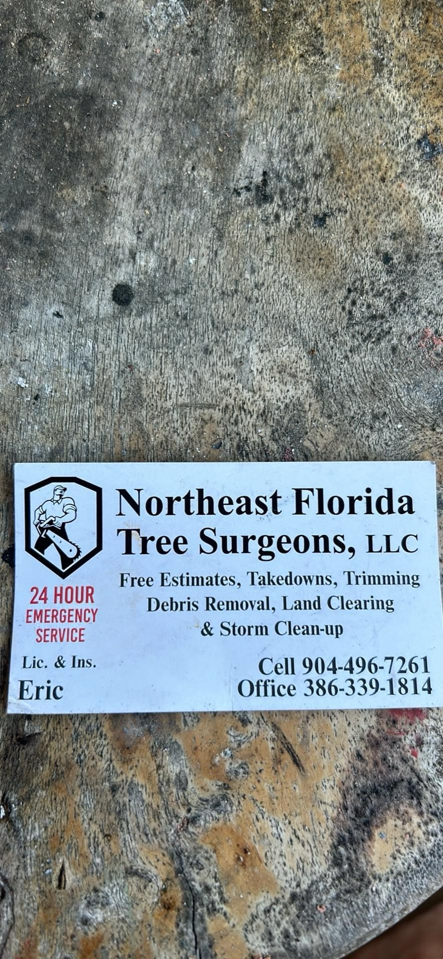 Avatar for Northeast Florida Tree Surgeons