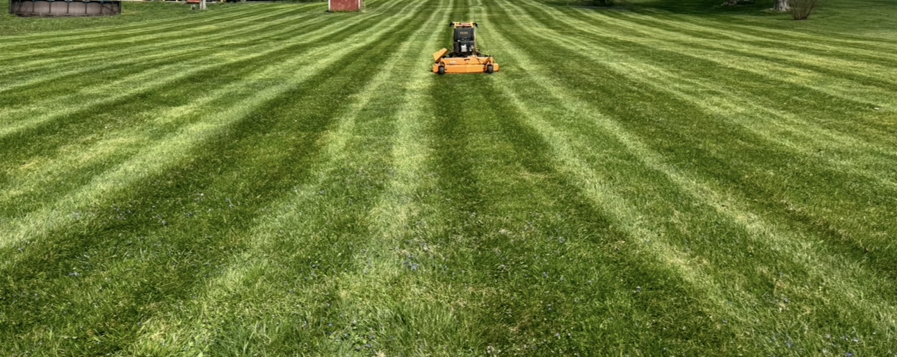 Avatar for The Legacy