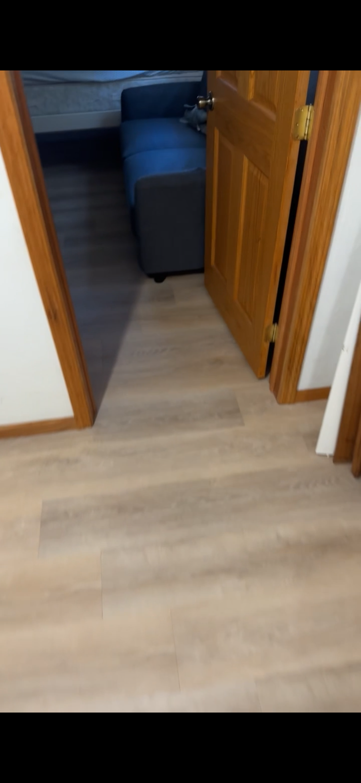 Avatar for TZ Construction