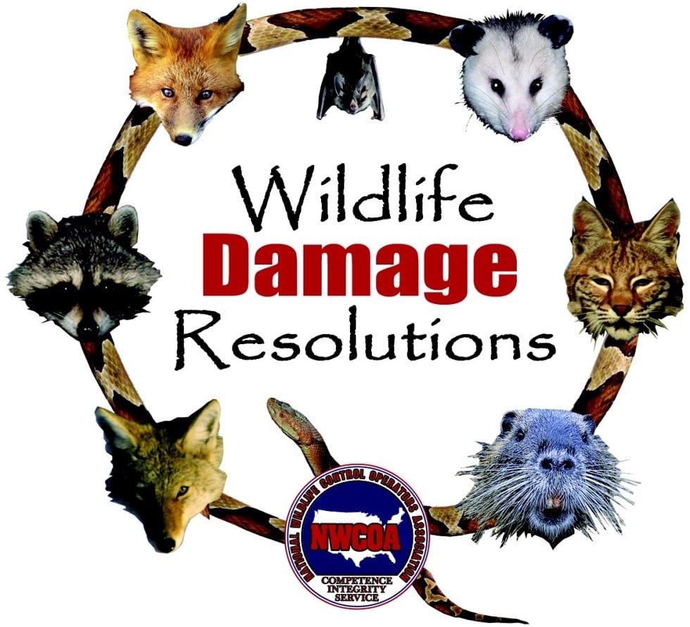 Avatar for Wildlife Damage Resolutions